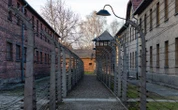 Historia KL Auschwitz-Birkenau. Co warto o niej wiedzieć?
