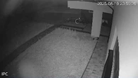 Nagranie z Osin. Słychać głośną ekslpozję