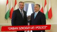 Duda z wizytą na Węgrzech. Polityk KO: Orban szkodzi UE i Polsce