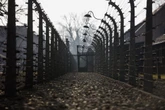 Niemcy. Ludzkie szczątki na terenie berlińskiej uczelni. Mogą to być ofiary doktora z Auschwitz