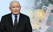 Większość Polaków za całkowitym zakazem? Badanie po głośnej aferze