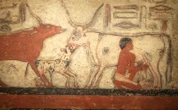 Niezwykłe odkrycie w Egipcie. Archeolodzy odsłonili trzy grobowce z okresu Nowego Państwa