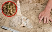 Tajemnicza czaszka sprzed 6200 lat odkryta w Iranie. Przyciągnęła uwagę badaczy z całego świata