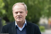 Tusk w kampanii wyborczej? Członek sztabu Nawrockiego: trzymam kciuki