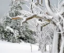 Koszmarne wieści pogodowe. Synoptycy zapowiadają śnieg i burze