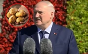 Białoruś, ziemniaki i władza totalna. Jak Łukaszenka próbuje rozwiązać kryzys?