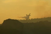 Gigantyczny pożar we Francji. Wywołał go niedogaszony grill