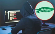 Cyberatak na Herbapol Lublin i blisko milion dolarów okupu. "Prowadzimy postępowanie"