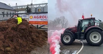 "Śmierdząca kara" za import ukraińskiego zboża. Firma: jesteśmy szykanowani