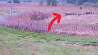 Migranci ruszyli na polską granicę. Wszystko się nagrało