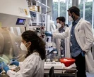 Pfizer ma lek na COVID-19. Podano datę sprzedaży