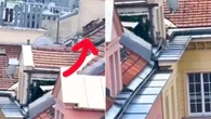 Pies biegał po dachu w Warszawie. Świadek wszystko nagrał