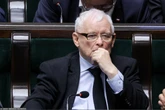 PiS chce "odbić" Podlasie. Pomóc może Braun i Konfederacja