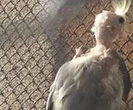 Łódź. Przygnębiająca wizytówka szkoły. "To nie człowiek, nie potrzebuje lekarza"