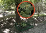 Łucznik ćwiczył w parku. Zbłąkana strzała trafiła mężczyznę