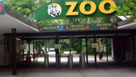Groźny wirus w poznańskim zoo. Zamkną obiekt?