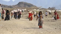 Kryzys humanitarny w Jemenie. Ludzie są zmuszeni jeść liście z drzew