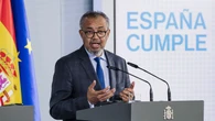 Hantawirus w Europie. Szef WHO: Nie widzę zagrożenia