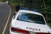 Good Samaritans, police rescue man from vehicle that fell into Hilo harbor