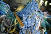 Hawaii launches hotline to report ghost fishing nets
