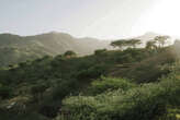 Following Darwin’s footsteps in West Africa’s Cape Verde archipelago