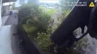 Hawaii island police release body-camera footage from fatal shooting of suspect who allegedly attacked officers with knives