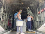 Coast Guard helps move monk seal pup from Midway Atoll to Kona