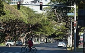 Public hearing for red-light camera pilot hits glitch; deadline for comments extended