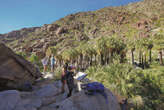 Embrace desert season with a camping trip to Anza-Borrego