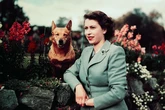 Isabel II: 100 años del nacimiento de la reina más grande de la historia que tuvo en su familia el punto débil
