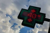 El calor afloja la corteza prefrontal, recordadlo siempre