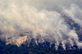 El fuego de Burgohondo (Ávila) obliga a confinar esta población, El Tiemblo y Navaluenga