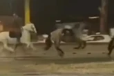 Tres heridos después de que unos 30 caballos escaparan asustados por una avenida de Roma