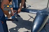 Así son los narcodrones que transportaban 20 kilos de droga de Marruecos a España en pocos minutos