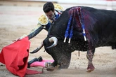 Jandilla acapara los premios de la Casa de Misericordia de Pamplona con un hueco para La Palmosilla