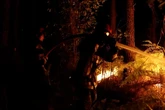 Megaincendio en el sur de Francia: 42.000 hectáreas arrasadas y 220.000 personas evacuadas