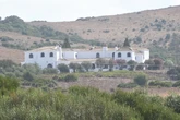 Insectos en la cocina, agua estancada, heces de roedores... El desastroso estado de Cantora, la histórica casa de Isabel Pantoja