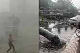 Un tifón se lleva todo a su paso en China