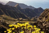Fallece un hombre de 48 años tras sufrir un accidente en el barranco Bujame de Teno (Tenerife)