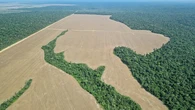 Debe de ser que decir que el clima ha cambiado equivale a ser sanchista