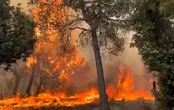 Incendios en Orés y el resto de España, en directo | El fuego en la comarca de Cinco Villas calcina ya 7.600 hectáreas y obliga a desalojar seis municipios
