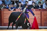 Morante, el gran reclamo para afianzar la Corrida Extraordinaria de San Juan de Sahagún en Salamanca