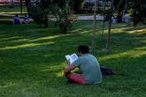 Nosotros, los abajofirmantes, esos enfermos de los libros