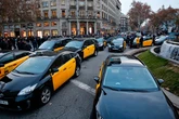 Cataluña, en manos de los taxidermistas