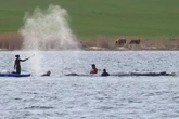 Avanza con éxito el rescate de Timmy, la ballena varada en aguas alemanas