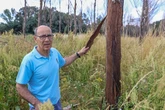 Los propietarios forestales temen otro verano infernal: "No se ha hecho nada de prevención desde los incendios del año pasado"