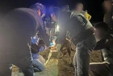 Dos años y medio de cárcel para el dueño de los perros que mataron a una joven en Roales del Pan (Zamora)