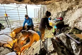 Huesos de niño, minerales verdes quemados y joyas con conchas y dientes de oso: el misterio de una cueva prehistórica en lo alto de los Pirineos
