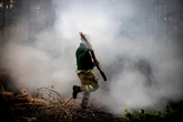 WWF alerta de que los incendios extremos han dejado de ser un problema ambiental para convertirse en una emergencia civil