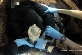 Escándalo en Reino Unido por la muerte de un joven al que su agresor hizo parecer culpable